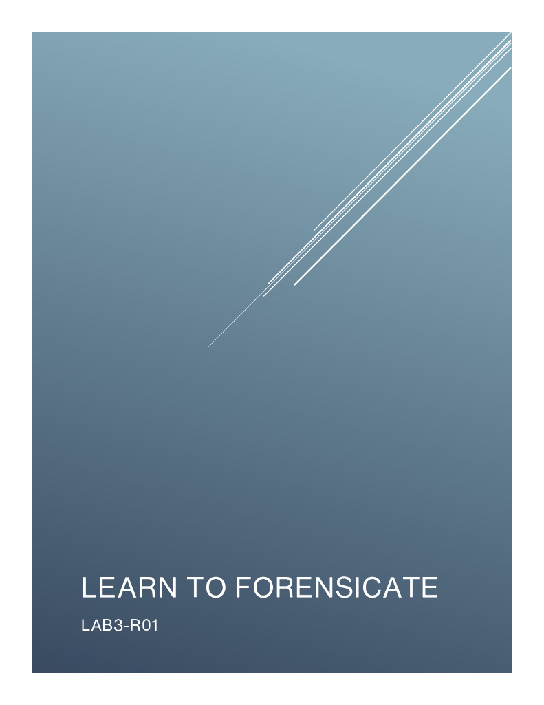 2024_USA24_LAB3 R01_02_Learn to Forensicate Testing The Waters of DFIR