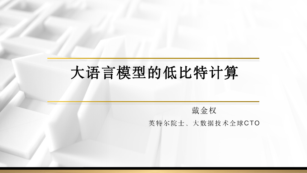 大语言模型的低比特计算 戴金权