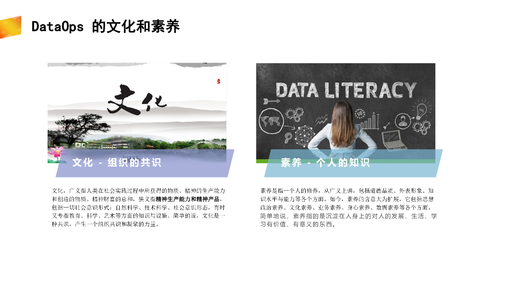 DAMA数据管理：DataOps - 数据运营的文化和素养_第9页