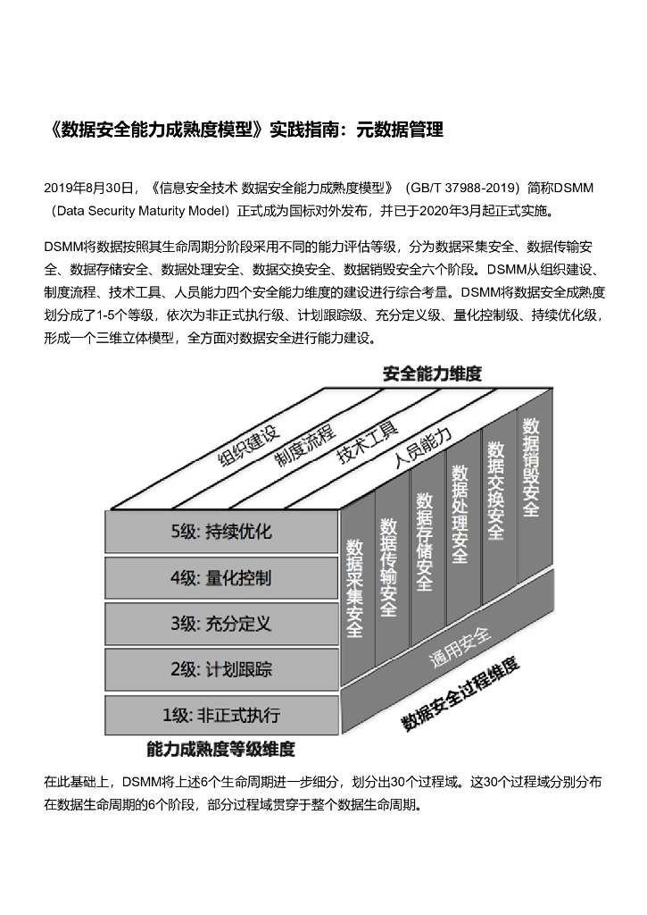 《数据安全能力成熟度模型》实践指南：元数据管理