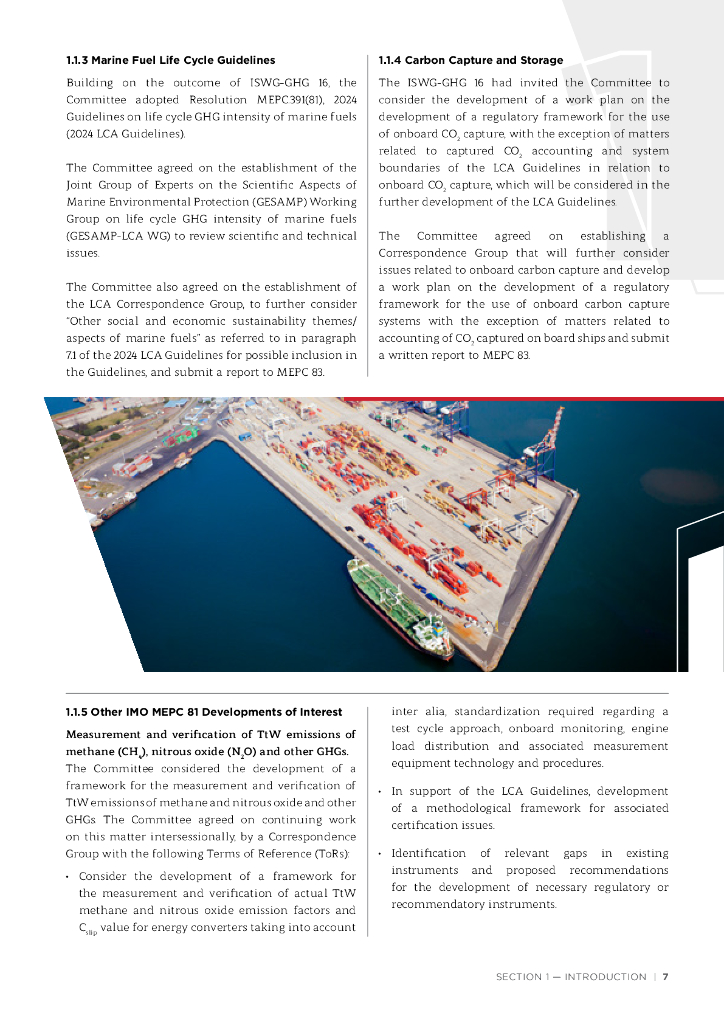 ABS：2024美国船级社碳中和路径和过渡技术展望报告（英文版）_第9页