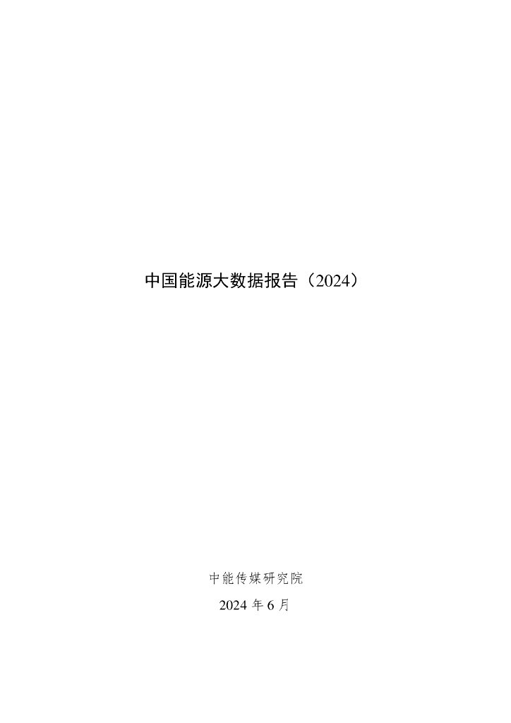 中能传媒研究院：中国能源大数据报告（2024）
