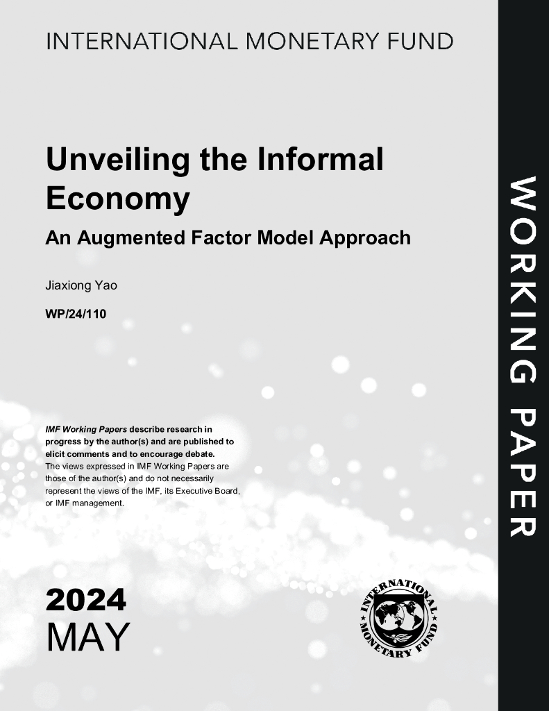  国际货币基金组织：2024揭开非正规经济的面纱：一种增强因子模型方法报告（英文版）