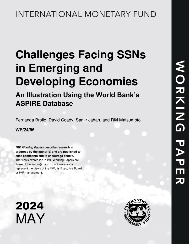 国际货币基金组织：2024新兴和发展中经济体SSN面临的挑战报告（英文版）