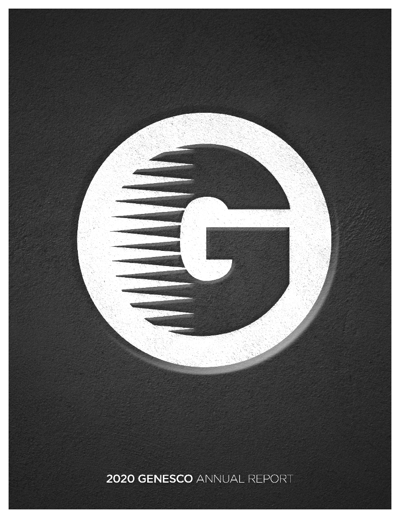 Genesco Inc.（GCO）2020财年年度报告（英文版）