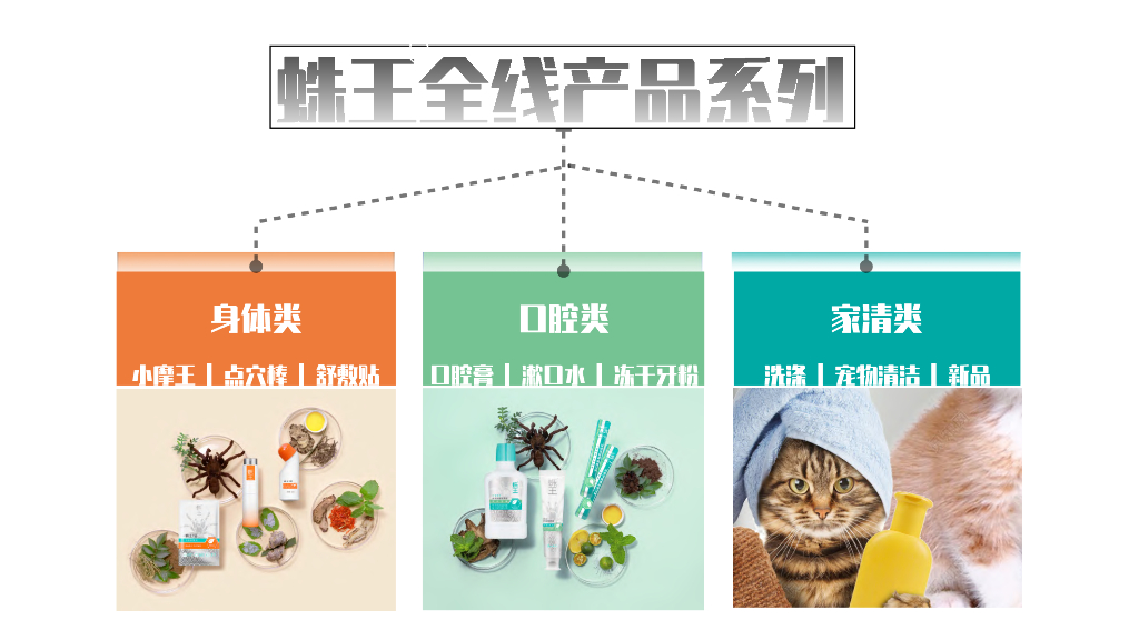 蛛王：轻中医 新健康 _第8页