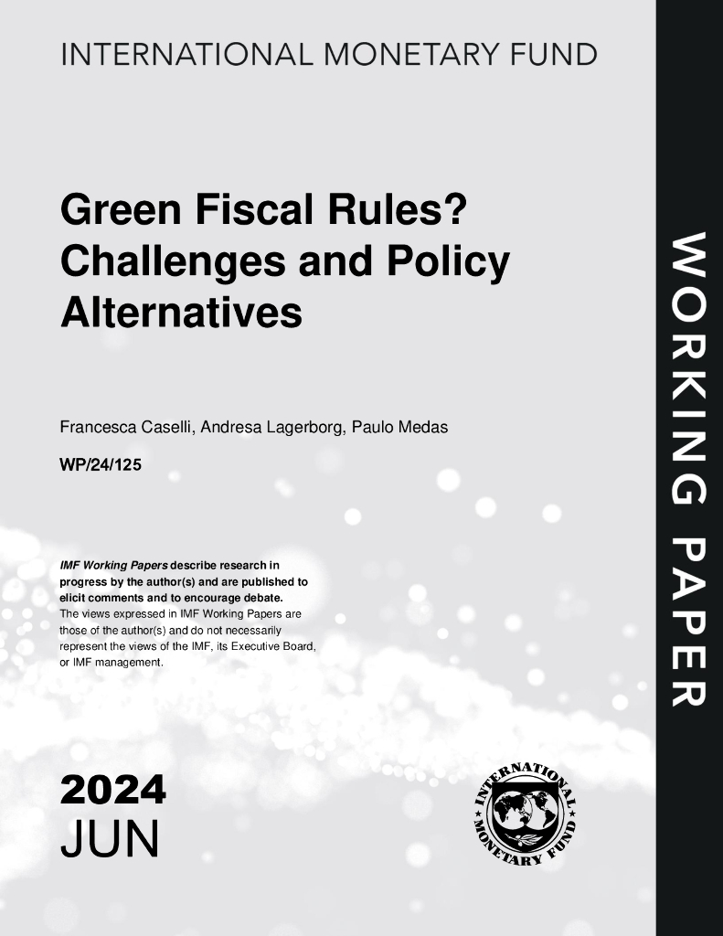 国际货币基金组织：2024绿色财政规则？挑战和政策选择报告（英文版）