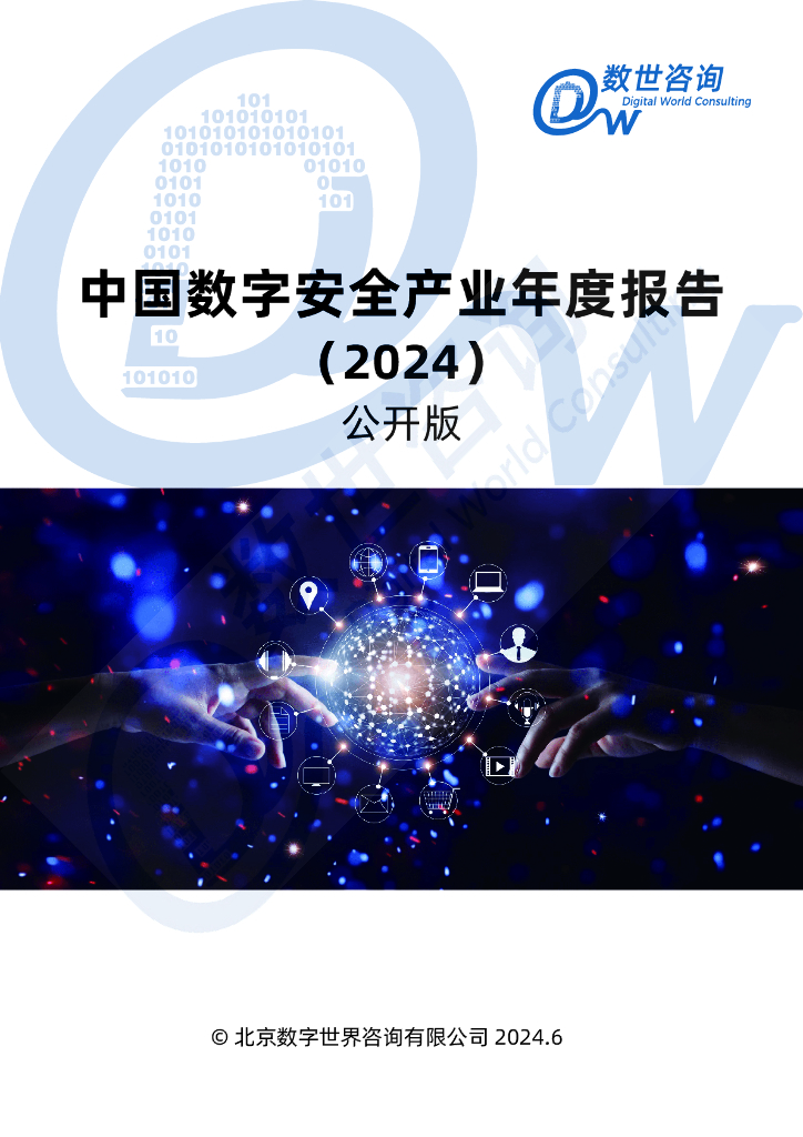 数世咨询：中国数字安全产业年度报告（2024）公开版