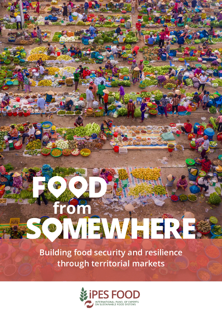 iPES FOOD：2024来自某处的食物报告（英文版）