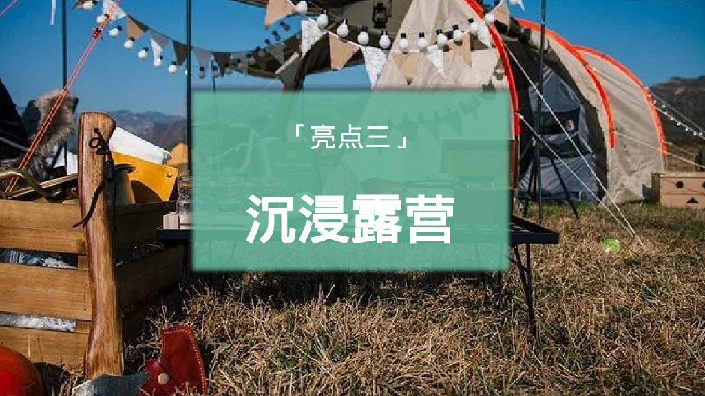 文旅七夕出逃计划仲夏露营派对活动策划方案_第8页