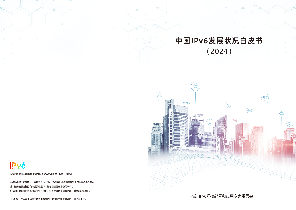 推进IPv6规模部署和应用专家委员会：中国IPv6发展状况白皮书（2024）