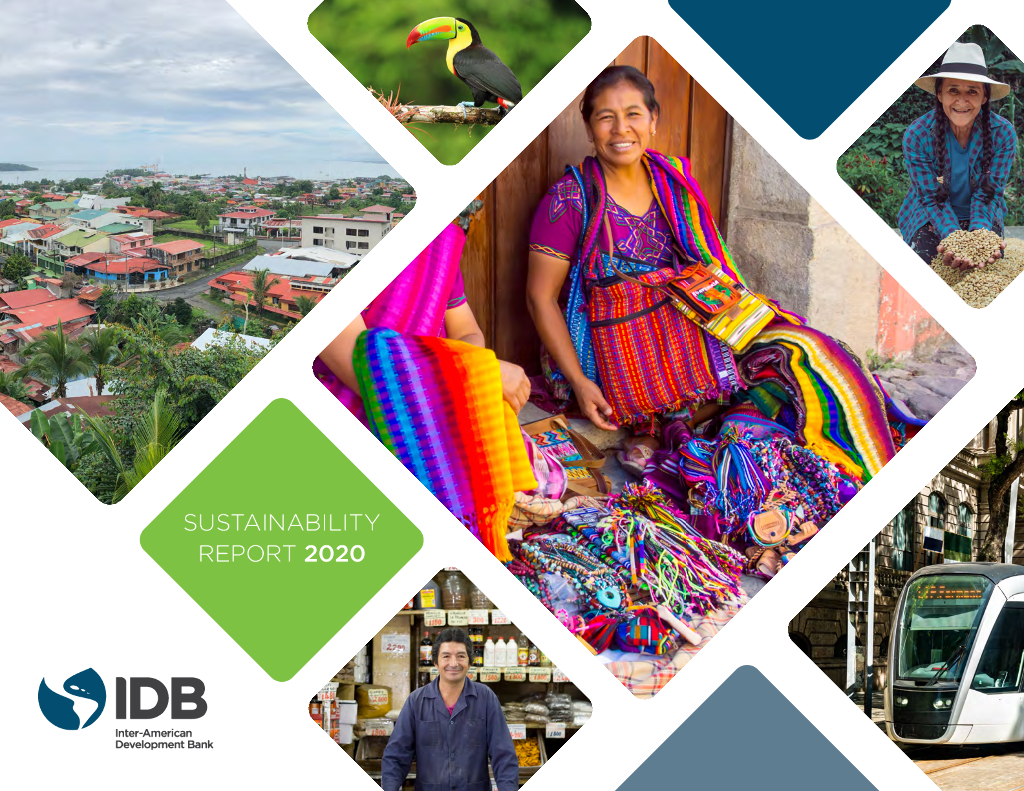 Inter-American Development Bank 2020年可持续发展报告（英文版）