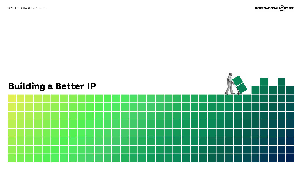 International Paper Co（IP）2021年可持续发展报告（英文版）