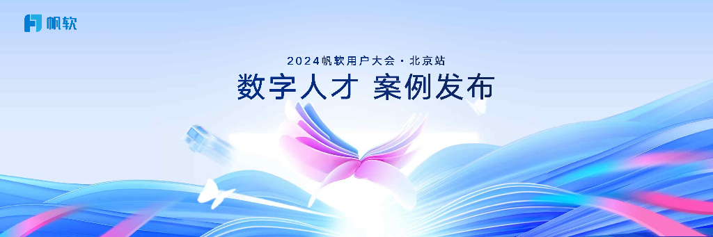 帆软（梅杰）：数字人才 案例发布