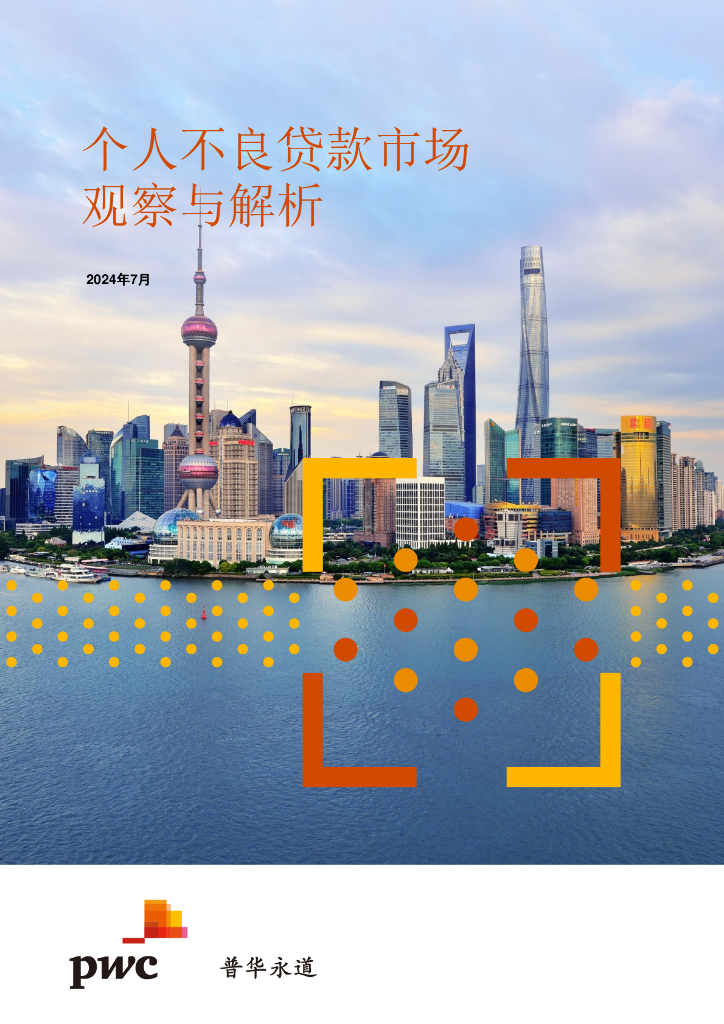 普华永道：2024个人不良贷款市场观察与解析报告