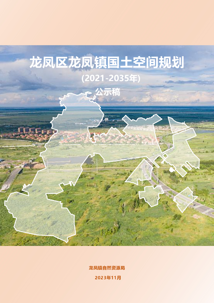 黑龙江省大庆市龙凤区龙凤镇国土空间规划（2021-2035年）公示稿