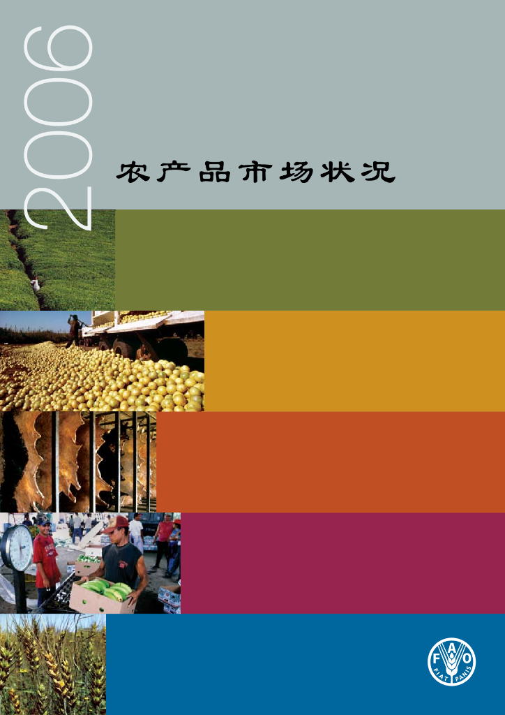 联合国粮农组织：2006年农产品市场状况报告