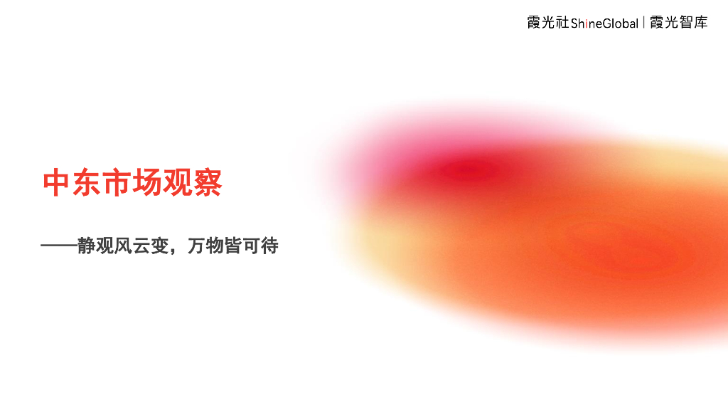 霞光智库：2024中东市场观察报告——静观风云变，万物皆可待