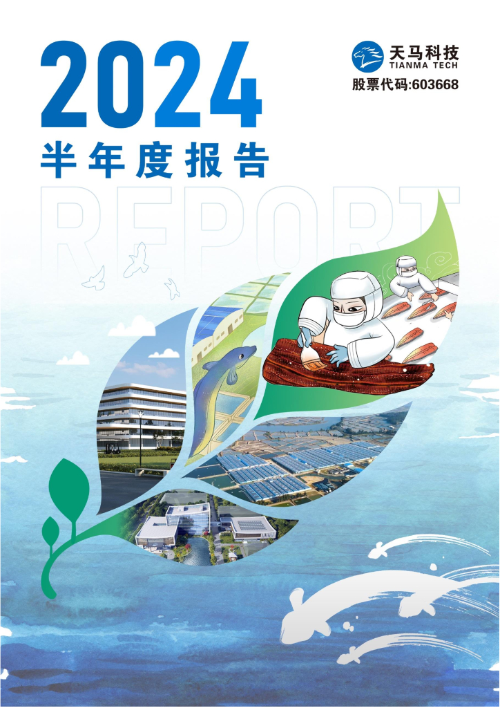 603668-天马科技：天马科技2024年半年度报告