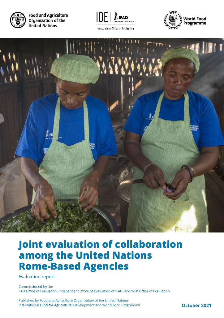 FAO联合国粮农组织：2021联合国驻罗马机构间合作的联合评价报告（英文版）