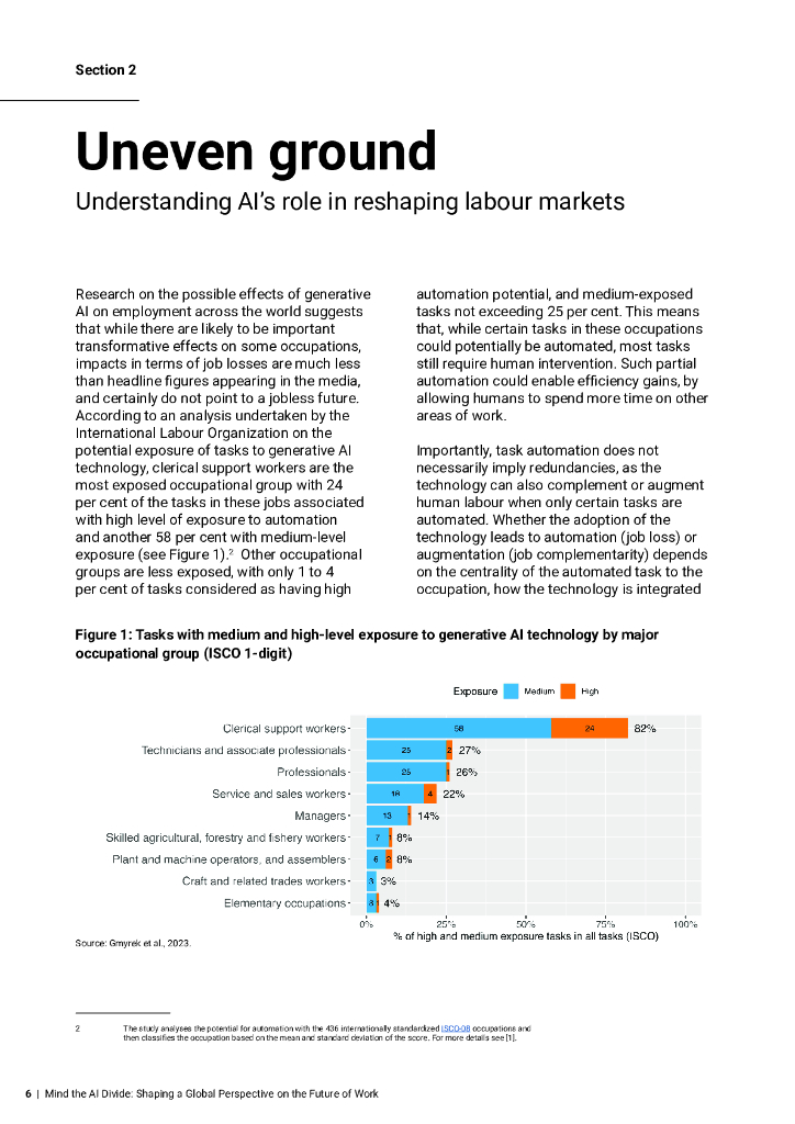 国际劳工组织（ILO）：2024小心人工智能的鸿沟：塑造未来工作的全球视角报告（英文版）_第6页