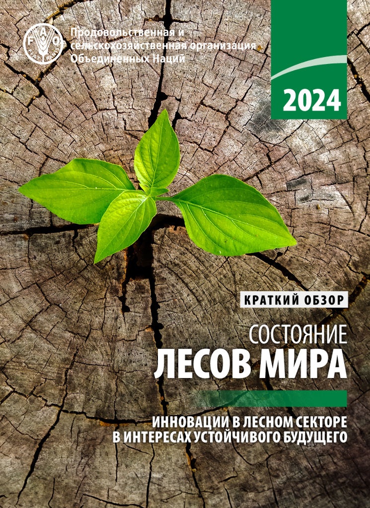 FAO联合国粮农组织：2024世界森林状况报告（俄语版）