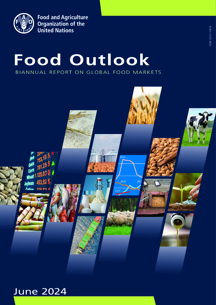 FAO联合国粮农组织：2024粮食展望-全球粮食市场双年度报告（英文版）