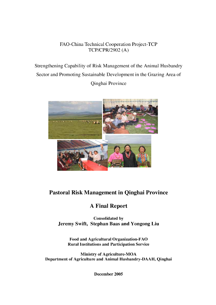 FAO联合国粮农组织：2005青海省牧区风险管理研究综述报告（英文版）