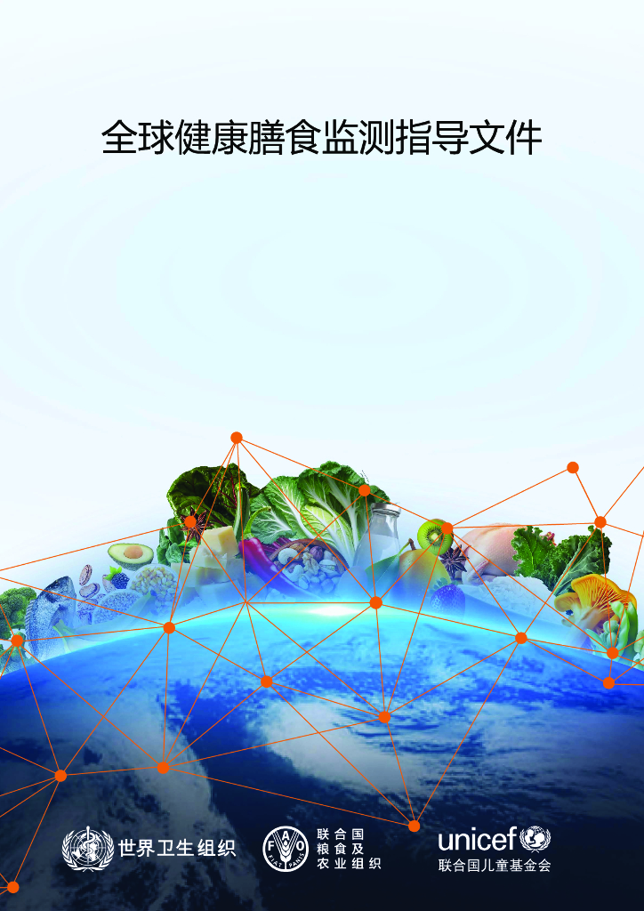 FAO联合国粮农组织&世界卫生组织：2024全球健康膳食监测指导文件