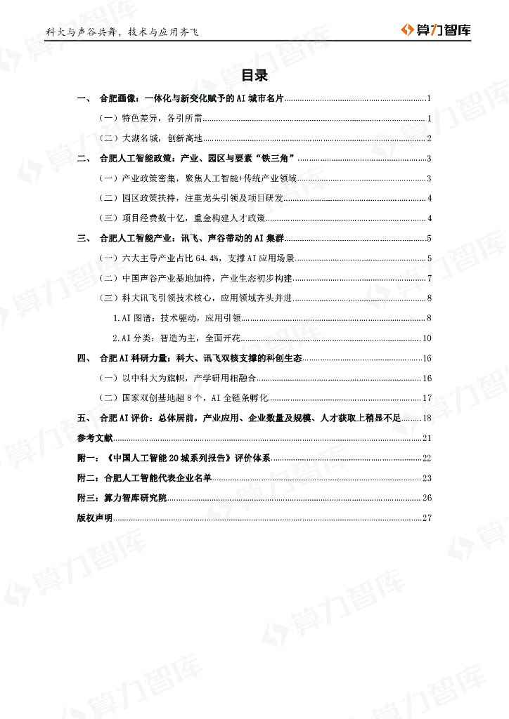算力智库：2019中国人工智能20城・合肥篇_第6页
