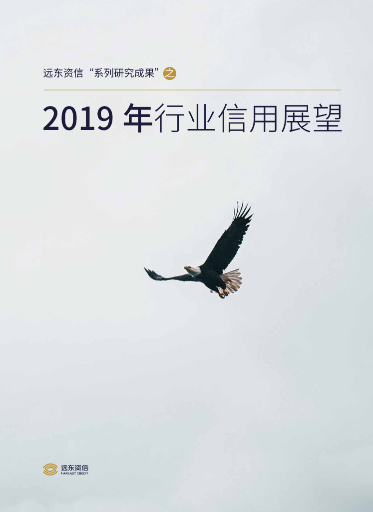 远东资信2019年行业信用展望报告