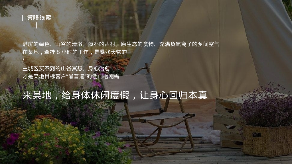 文旅景区首届山谷音乐文化节“归来XX·声入人心”主题活动策划方案_第10页