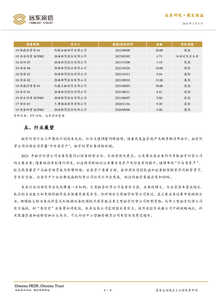 远东资信：2024年融资租赁行业回顾与展望报告_第8页