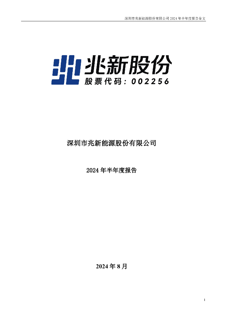 002256-兆新股份：2024年半年度报告