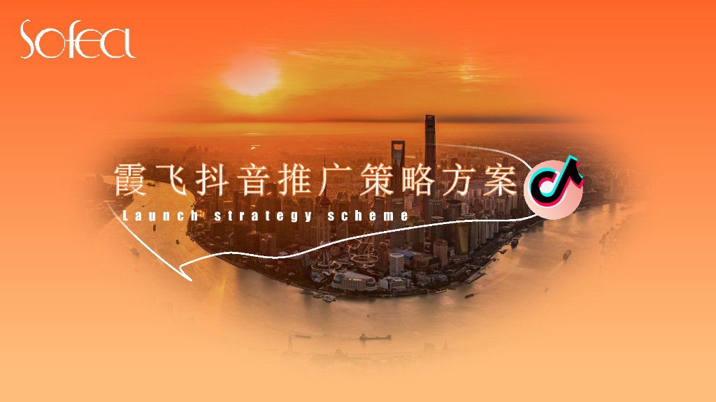 霞飞<em>抖音</em>推广策略方案 海报