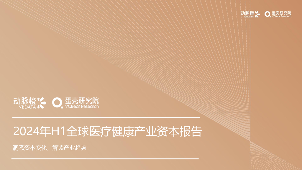动脉橙：2024年H1全球医疗健康产业资本报告