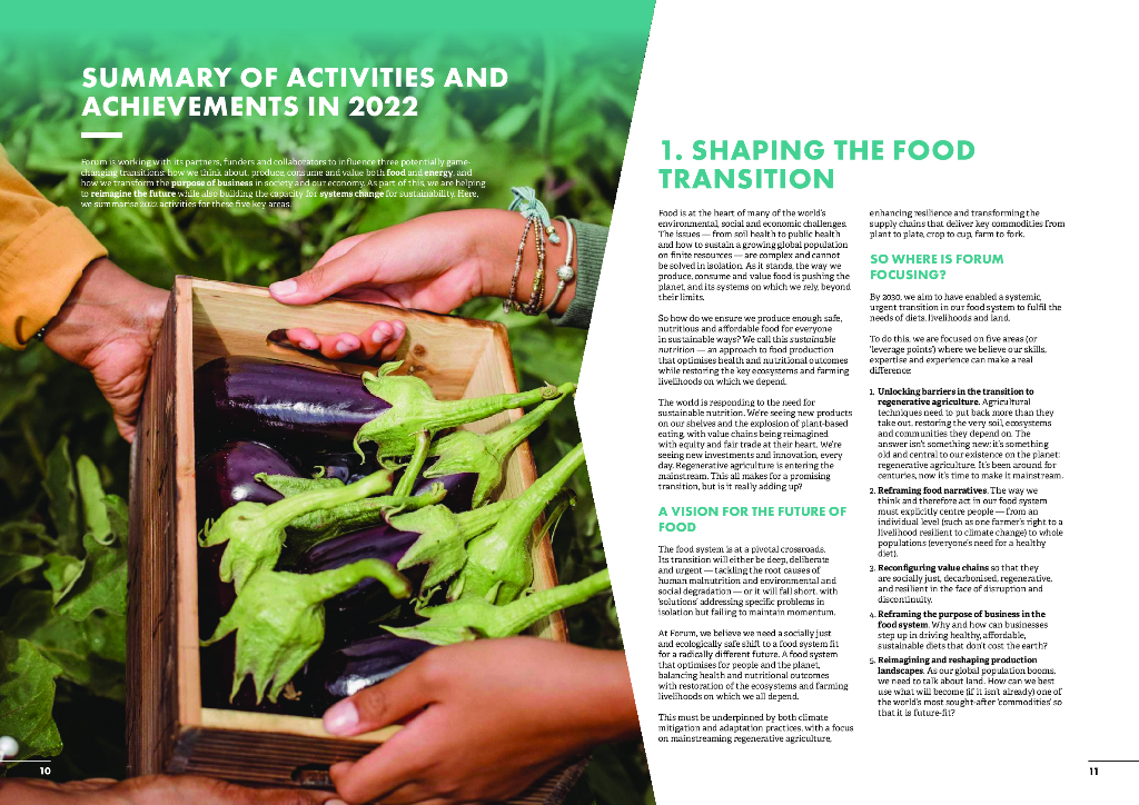 Forum for the Future：2022年年度报告_第6页