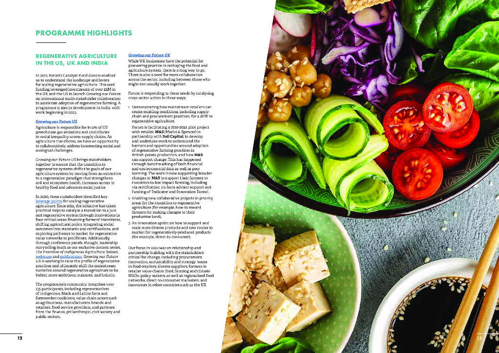 Forum for the Future：2022年年度报告_第7页