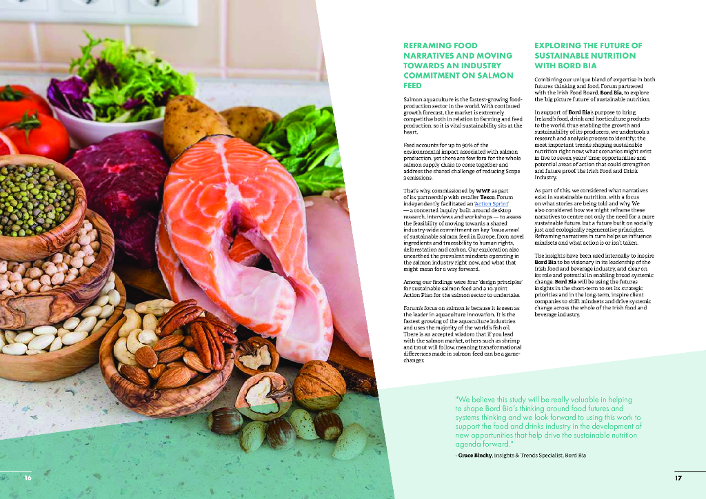 Forum for the Future：2022年年度报告_第9页