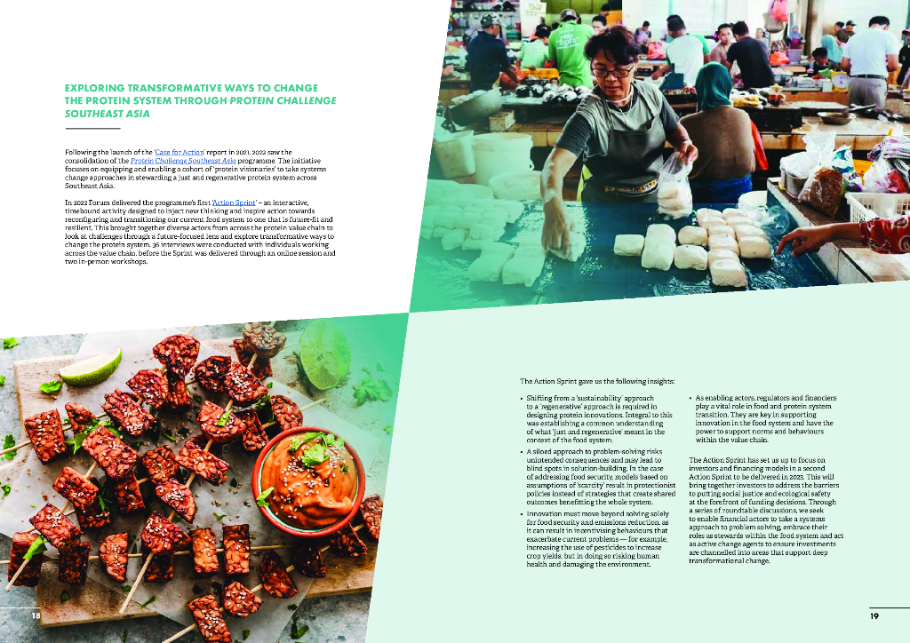 Forum for the Future：2022年年度报告_第10页