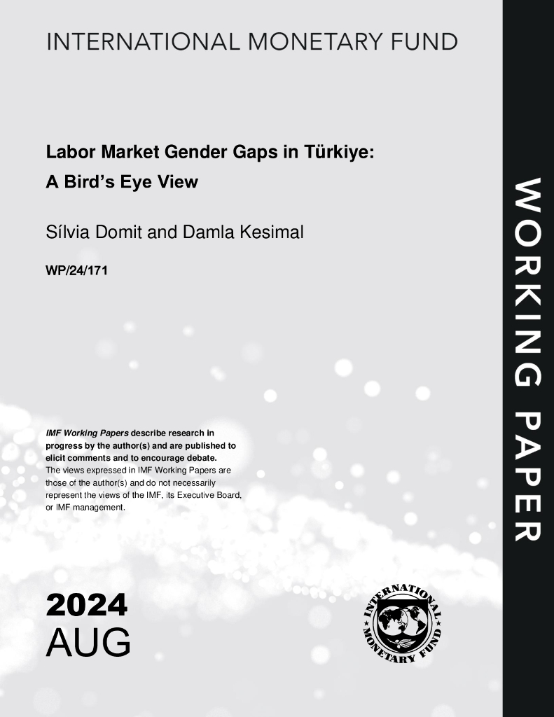 国际货币基金组织：2024土耳其劳动力市场性别差距报告：鸟瞰图（英文版）