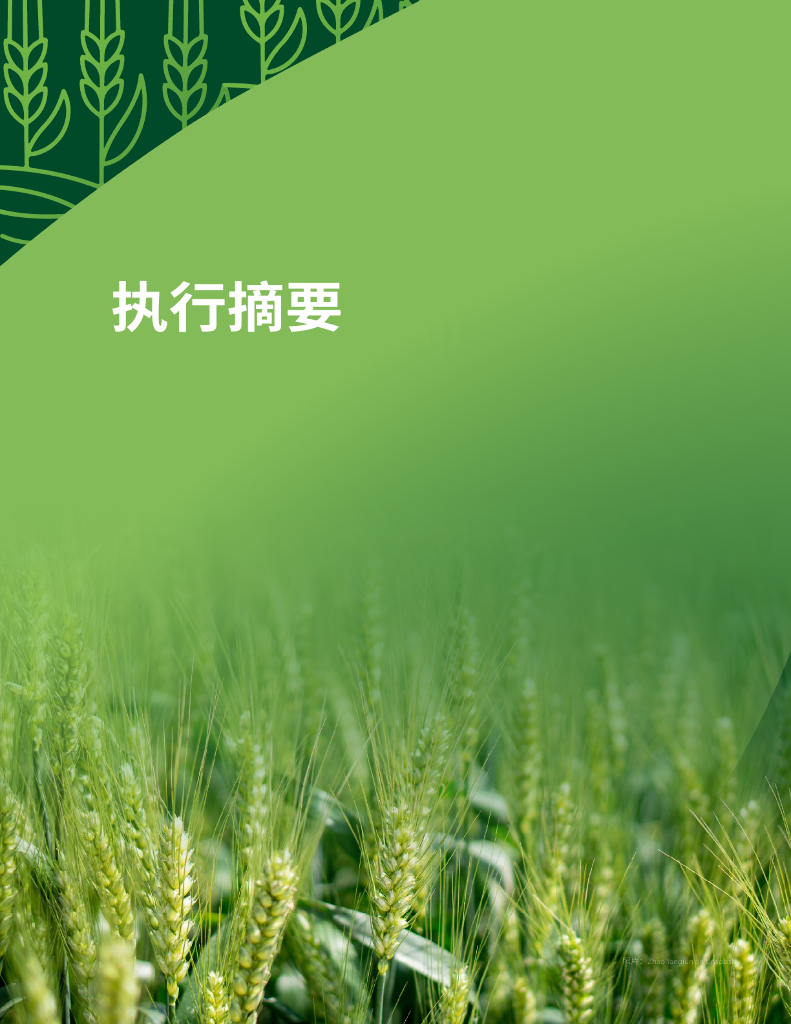 绿色创新发展研究院（iGDP）：2023农食系统与碳中和——中国农业与食物相关温室气体减排路径分析报告_第6页