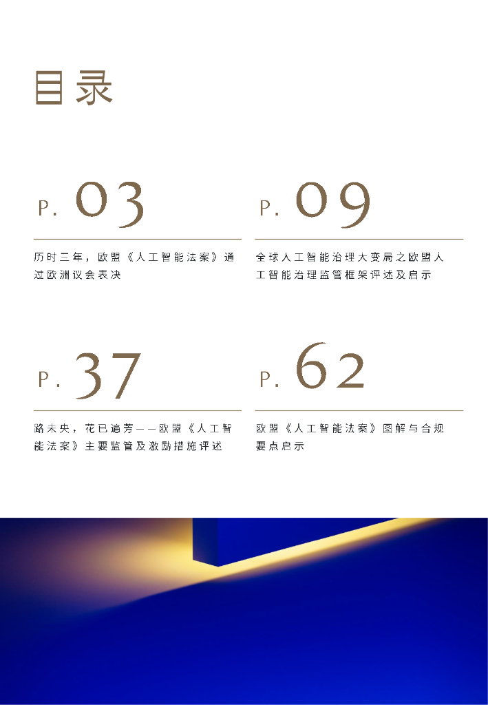 金杜律师事务所：2024深度解析欧盟《人工智能法案》+文章合集_第2页