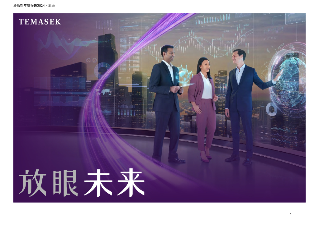 淡马锡：2024年年度报告-放眼未来
