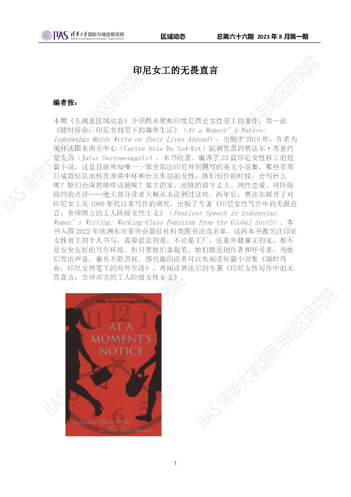 清华大学国际与地区研究院：东南亚地区《区域动态》2023年8月第一期