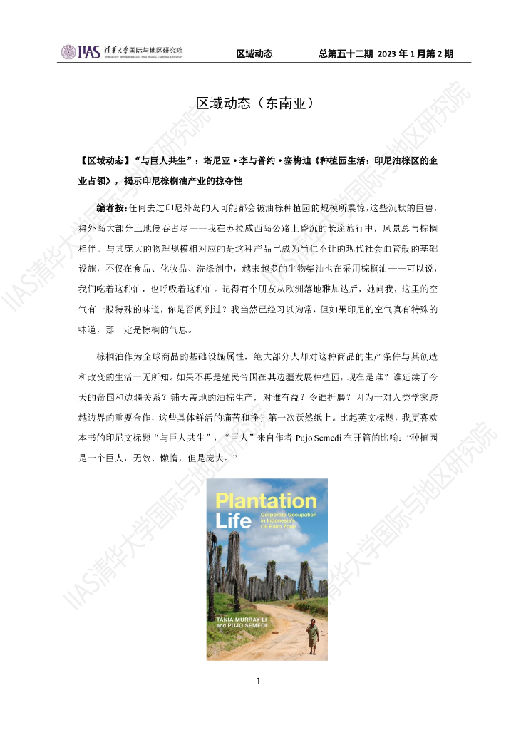 清华大学国际与地区研究院：东南亚地区《区域动态》2023年1月第2期