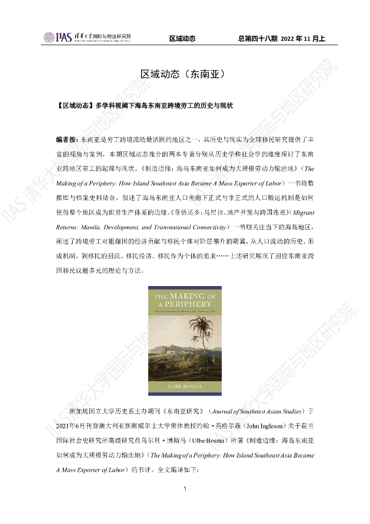 清华大学国际与地区研究院：东南亚地区《区域动态》2022年11月上