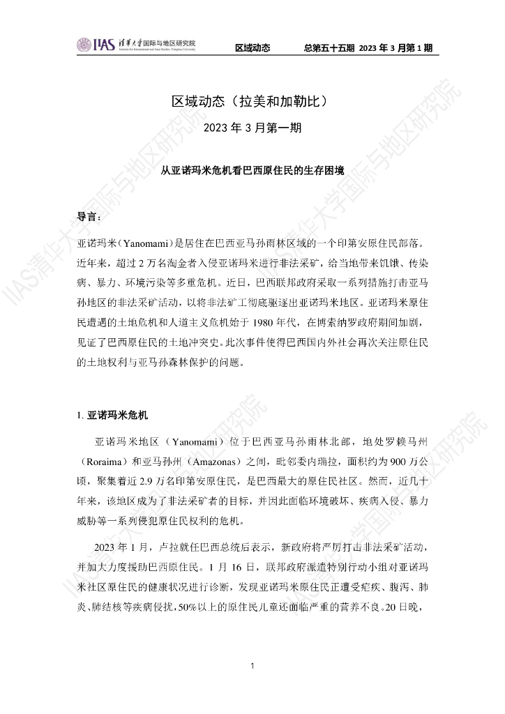 清华大学国际与地区研究院：拉美和加勒比地区《区域动态》2023年3月第1期