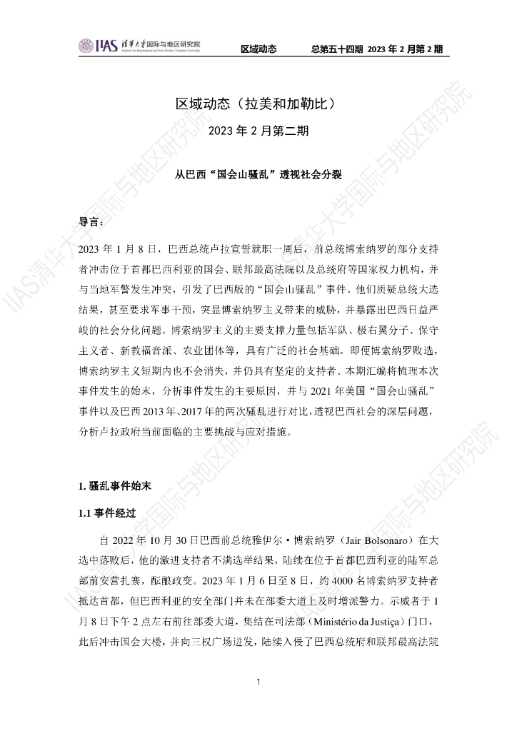清华大学国际与地区研究院：拉美和加勒比地区《区域动态》2023年2月第2期