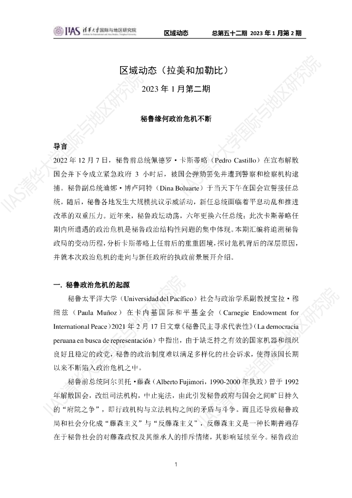 清华大学国际与地区研究院：拉美和加勒比地区《区域动态》2023年1月第2期